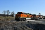 BNSF 7981